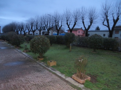 terreno edificabile in vendita a Badia Polesine