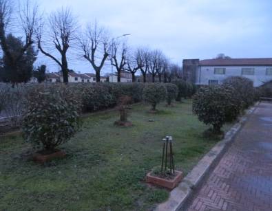 terreno edificabile in vendita a Badia Polesine