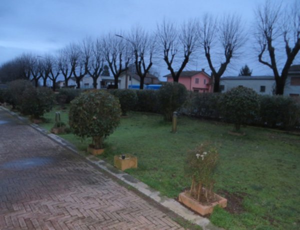 terreno edificabile in vendita a Badia Polesine