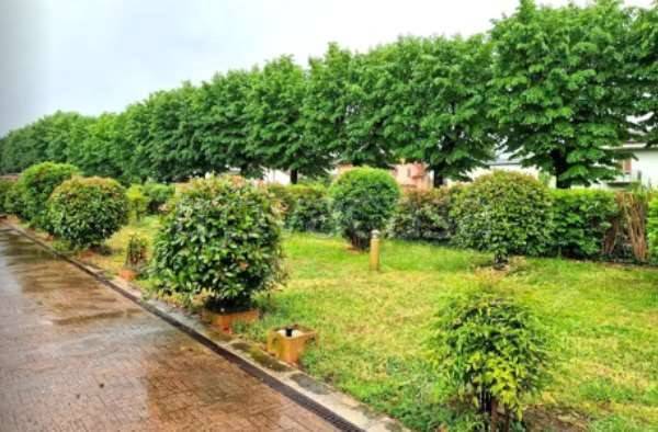 terreno agricolo in vendita a Badia Polesine