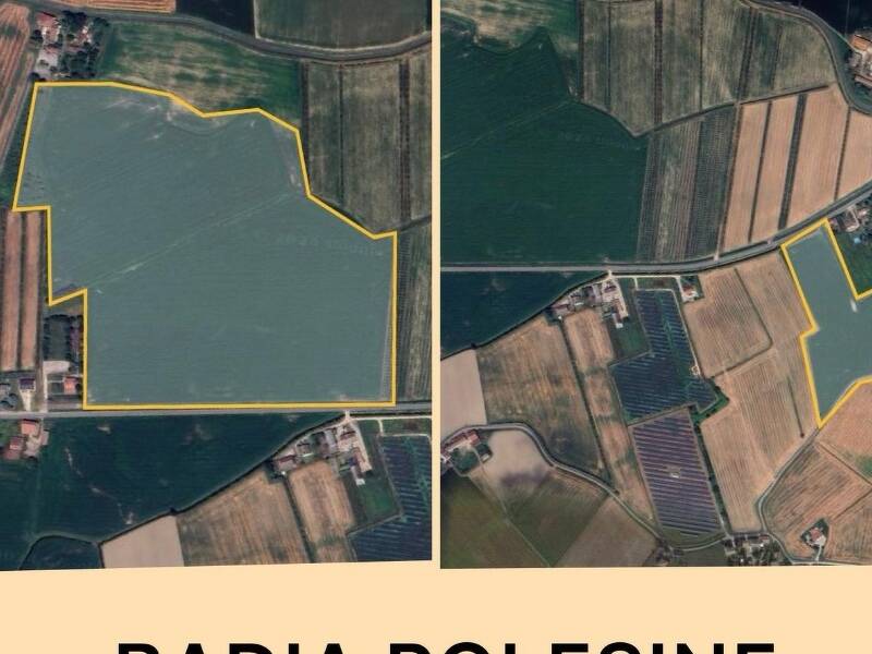 terreno agricolo in vendita a Badia Polesine