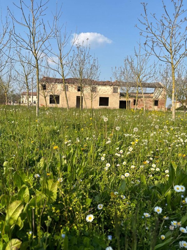 appartamento in vendita a Badia Polesine
