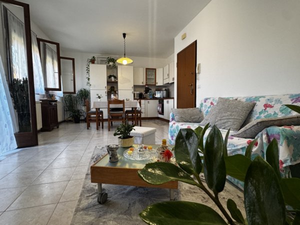 appartamento in vendita a Badia Polesine