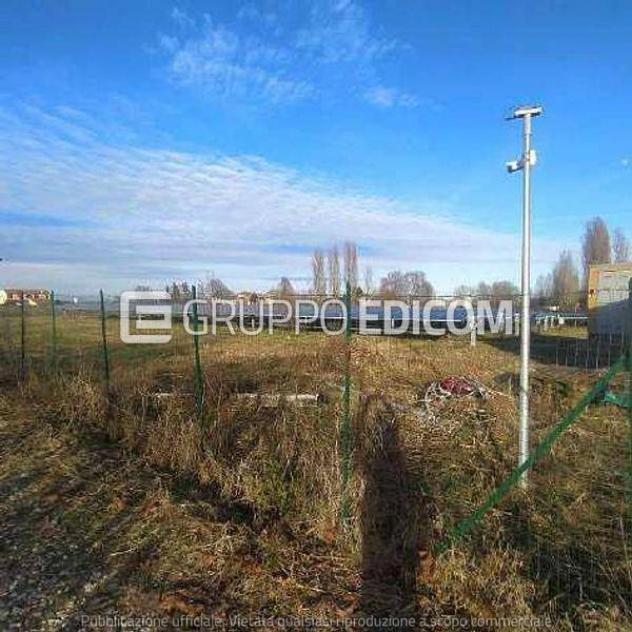 terreno agricolo in vendita a Badia Polesine