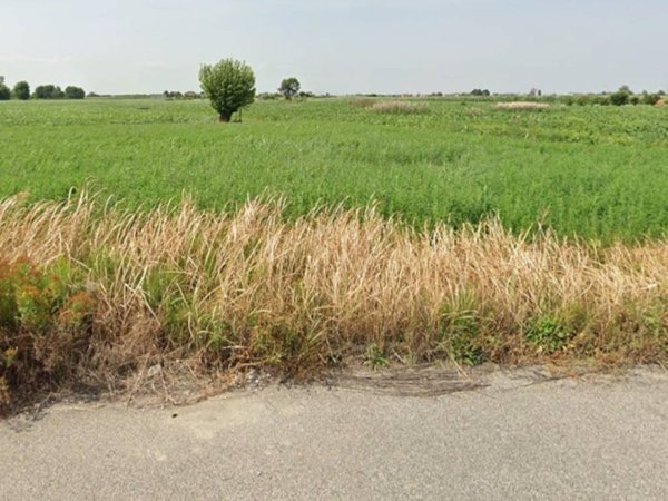 terreno edificabile in vendita a Badia Polesine in zona Villafora