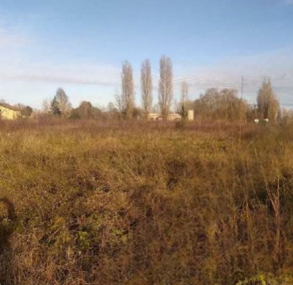 terreno agricolo in vendita a Badia Polesine
