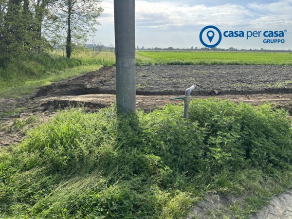 terreno agricolo in vendita a Badia Polesine