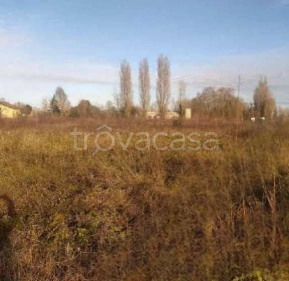 appartamento in vendita a Badia Polesine