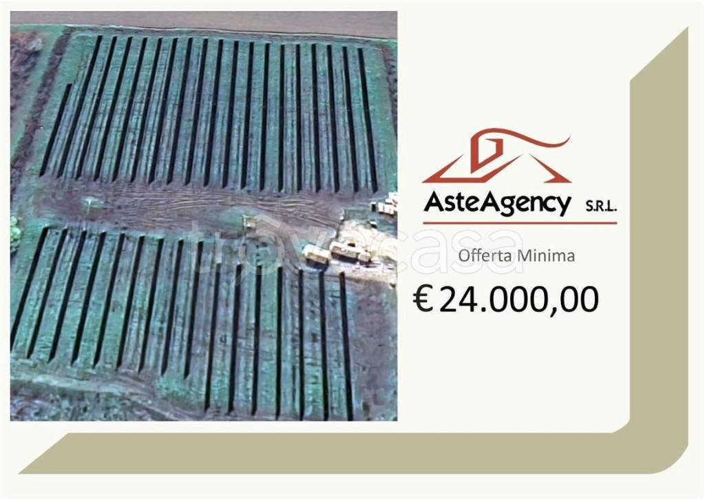 terreno agricolo in vendita a Badia Polesine