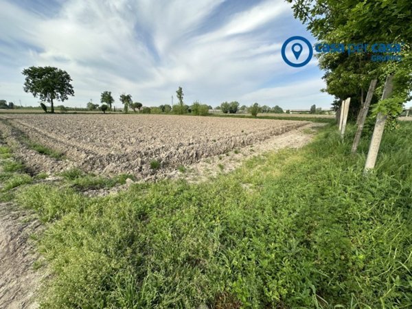 terreno agricolo in vendita a Badia Polesine