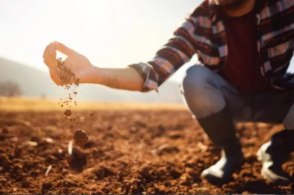 ufficio in vendita a Badia Polesine in zona Salvaterra