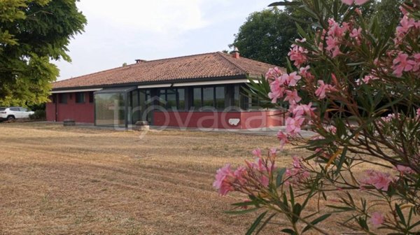 negozio in vendita a Badia Polesine