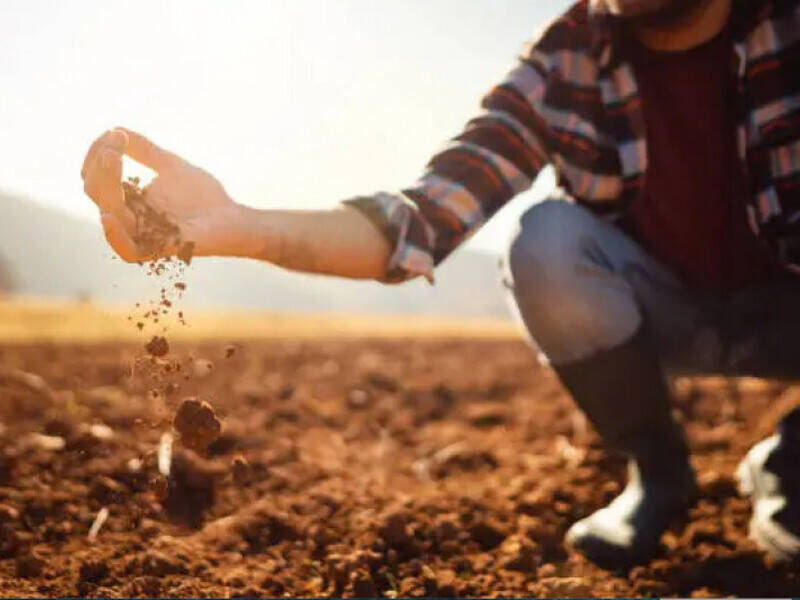 terreno agricolo in vendita a Badia Polesine in zona Salvaterra