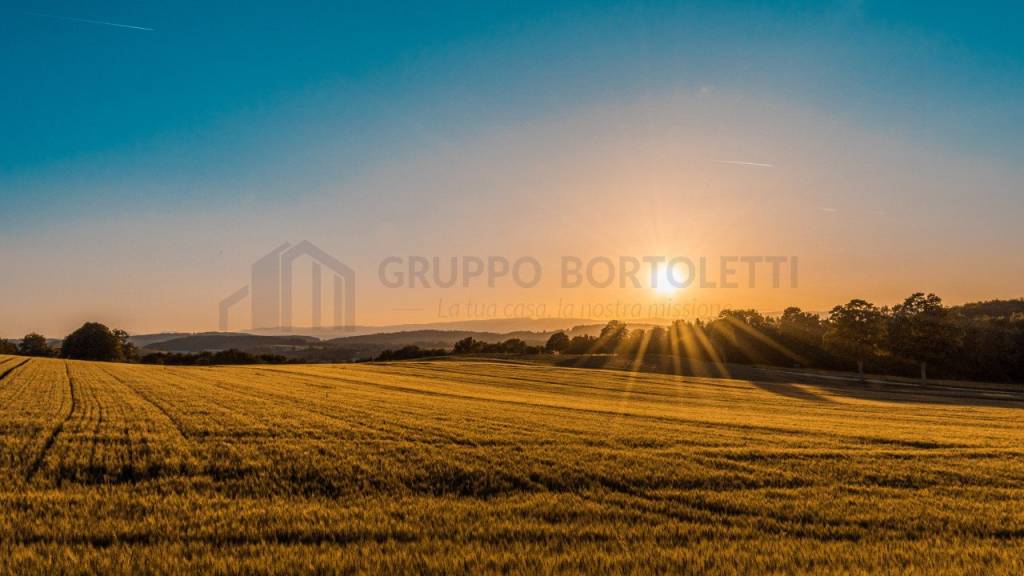 terreno agricolo in vendita a Badia Polesine