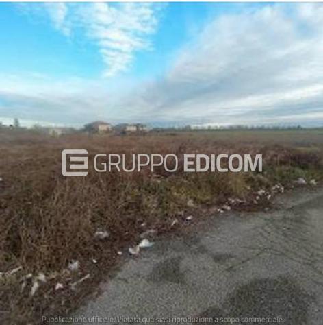 terreno agricolo in vendita a Badia Polesine