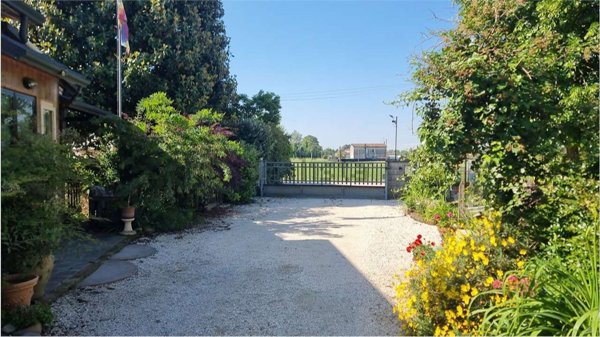 esavano in vendita a Badia Polesine