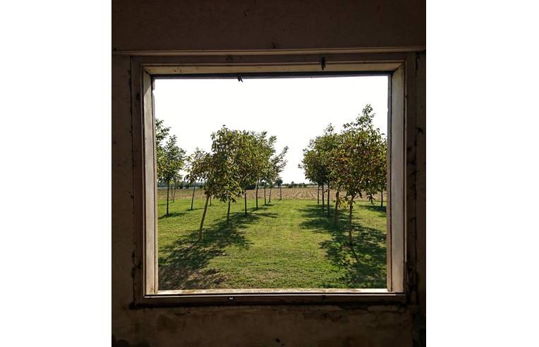 casale in vendita a Badia Polesine in zona Villafora