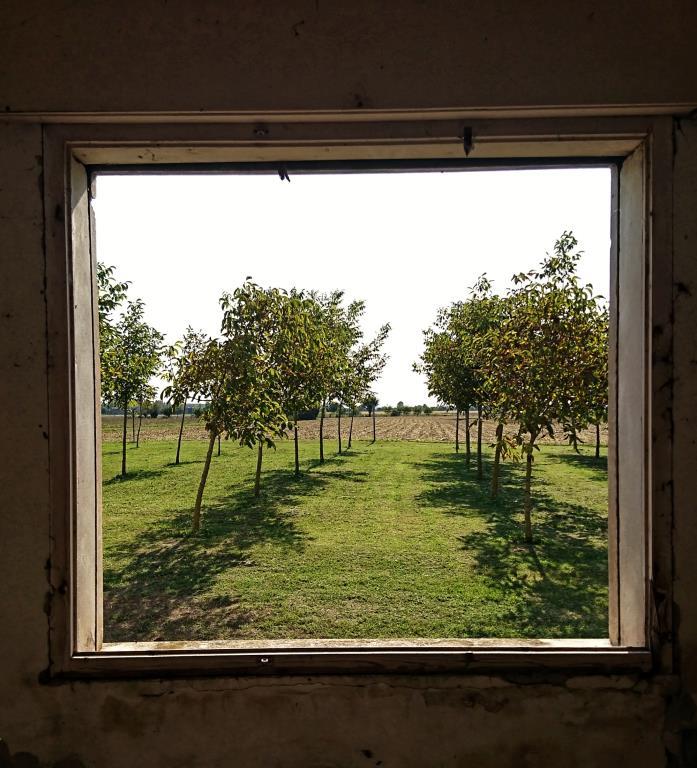 casale in vendita a Badia Polesine in zona Villafora