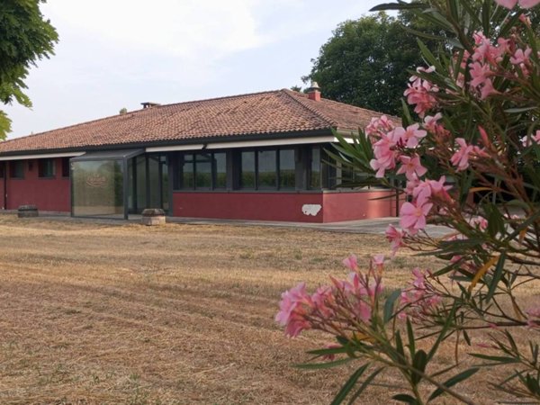 negozio in vendita a Badia Polesine