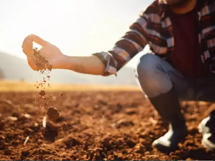 mansarda in vendita a Badia Polesine in zona Salvaterra