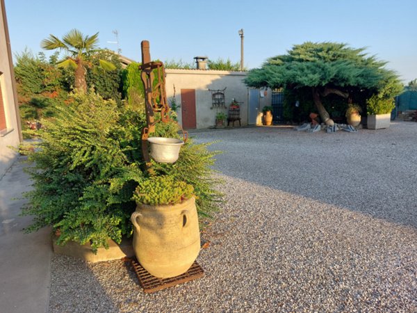 casa indipendente in vendita a Badia Polesine