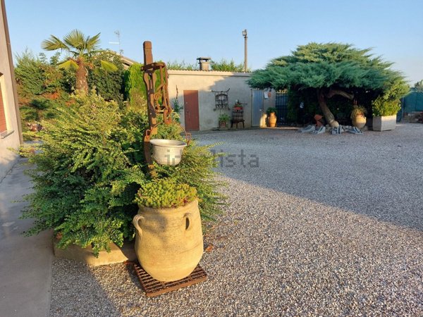 esavano in vendita a Badia Polesine