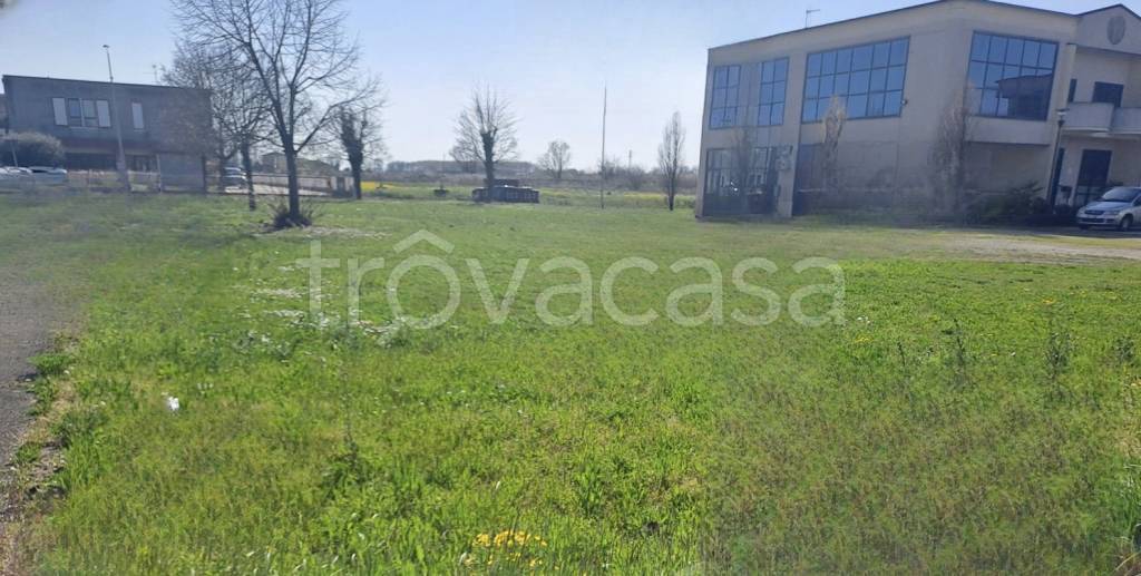 ufficio in vendita a Badia Polesine in zona Crocetta