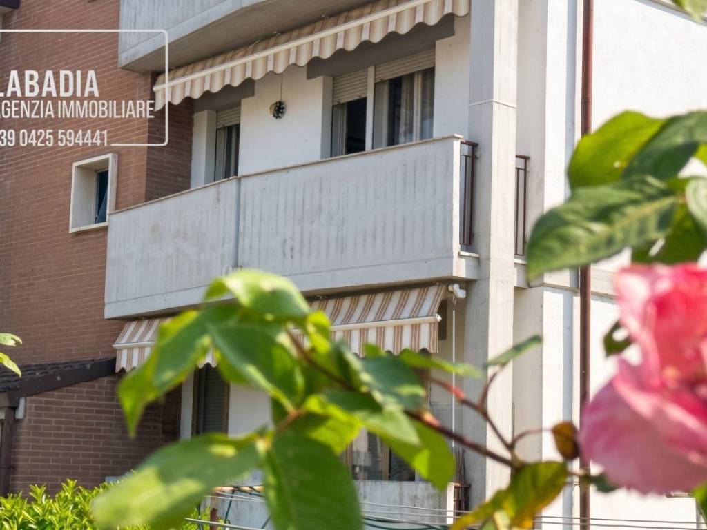 appartamento in vendita a Badia Polesine