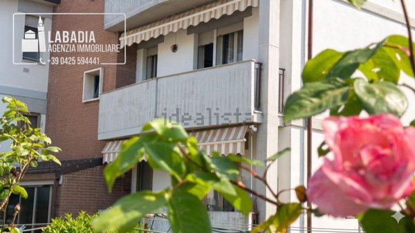 appartamento in vendita a Badia Polesine