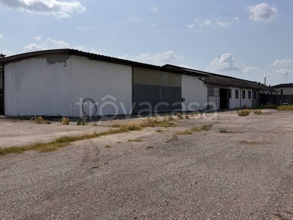 casa indipendente in vendita a Badia Polesine in zona Villa d'Adige
