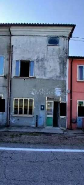 appartamento in vendita a Badia Polesine in zona Salvaterra