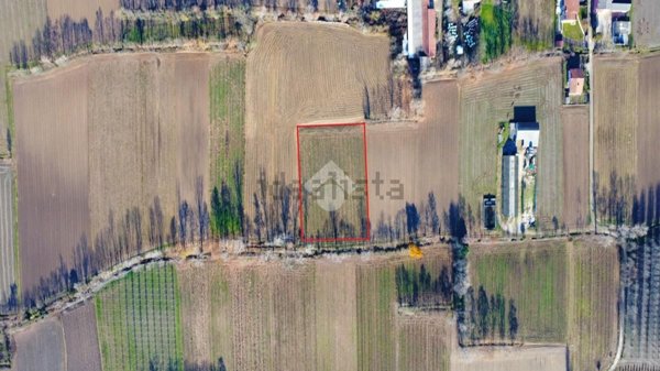 terreno agricolo in vendita a Badia Polesine