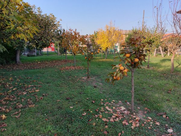 ufficio in vendita a Badia Polesine in zona Villa d'Adige
