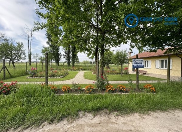 casa indipendente in vendita a Badia Polesine