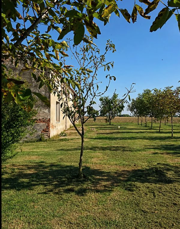 casale in vendita a Badia Polesine