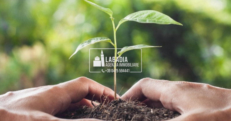 terreno agricolo in vendita a Bagnolo di Po