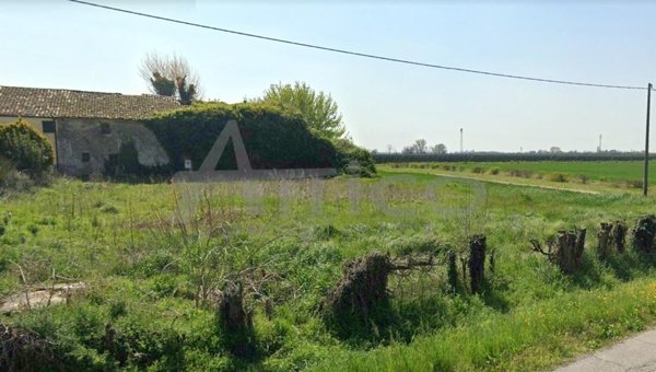 casa indipendente in vendita a Canaro