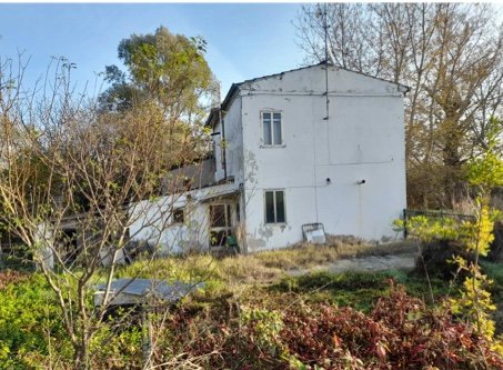 casa indipendente in vendita a Canaro