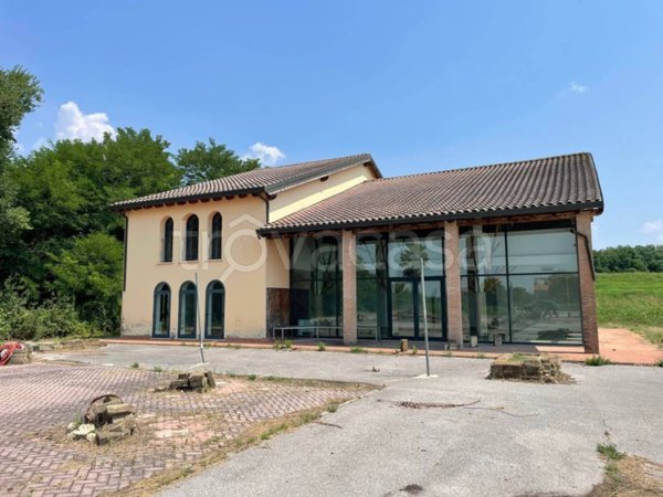 negozio in vendita a Canaro