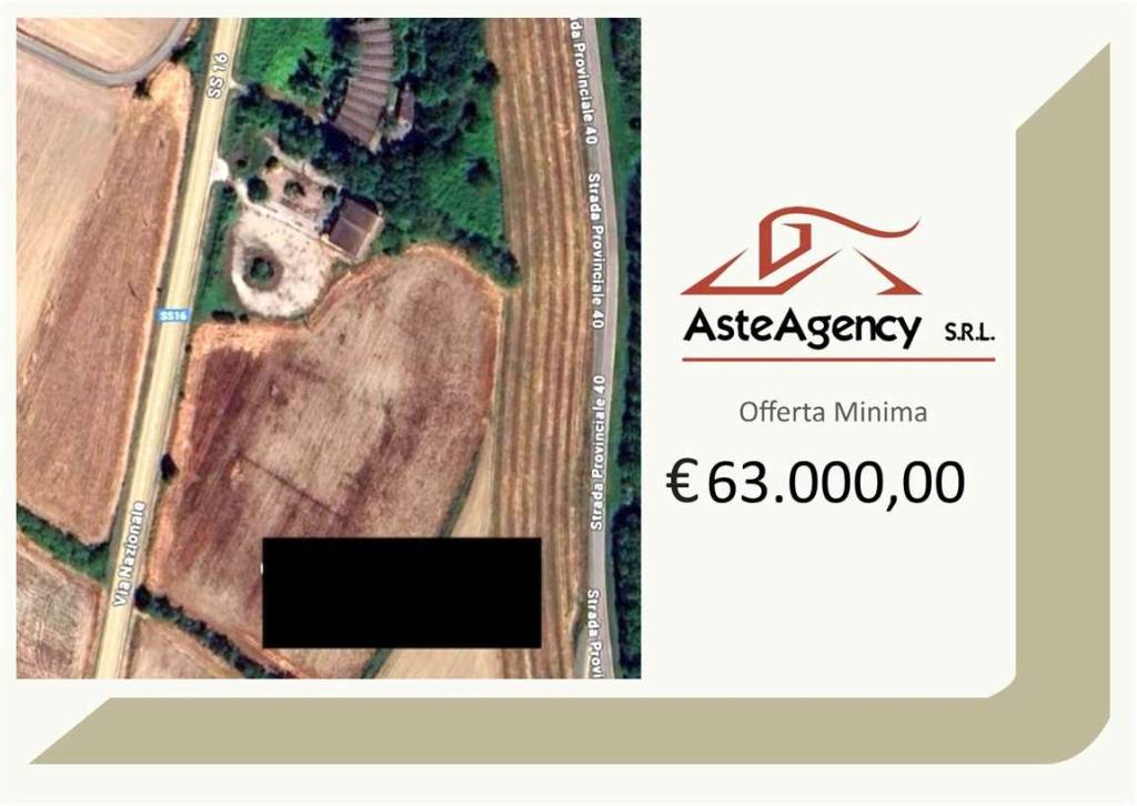 terreno agricolo in vendita a Canaro