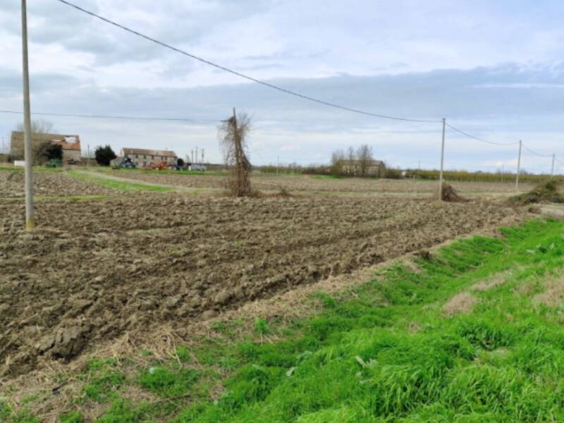 terreno agricolo in vendita a Canaro