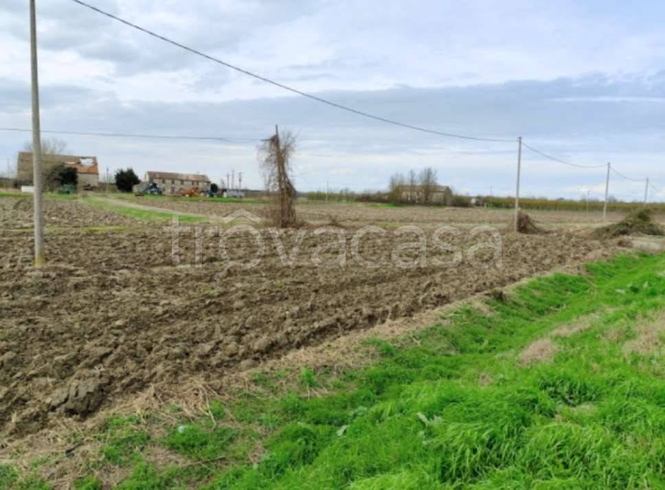 monolocale in vendita a Canaro