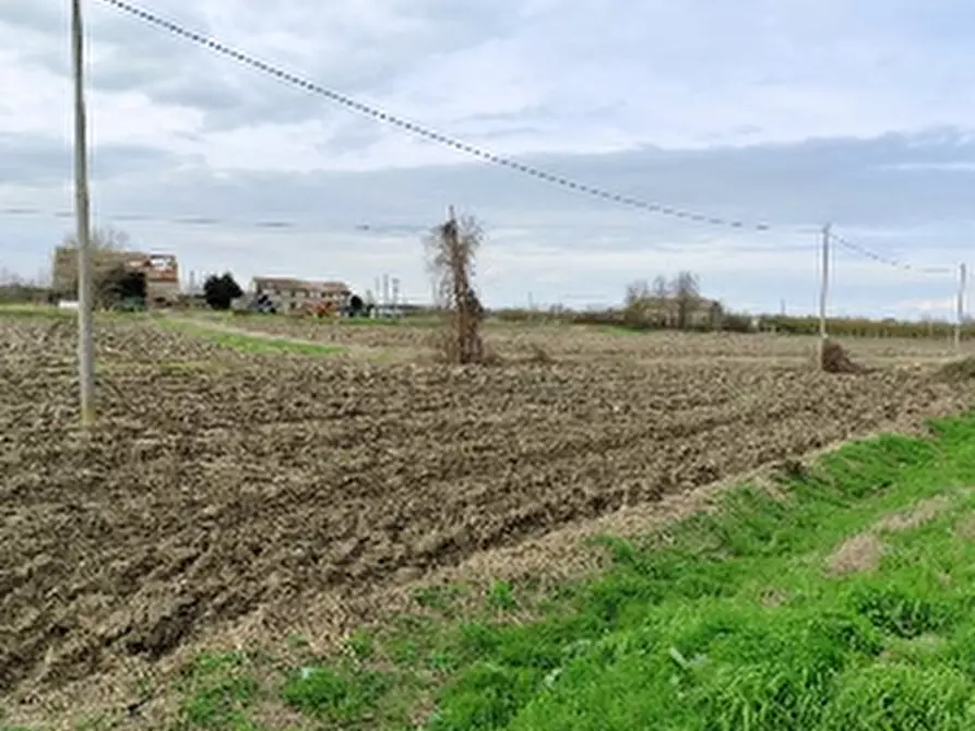 mansarda in vendita a Canaro