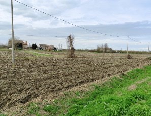 terreno edificabile in vendita a Canaro