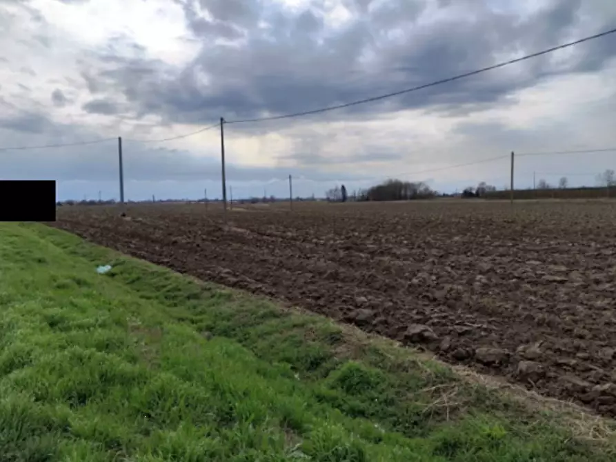 terreno agricolo in vendita a Canaro