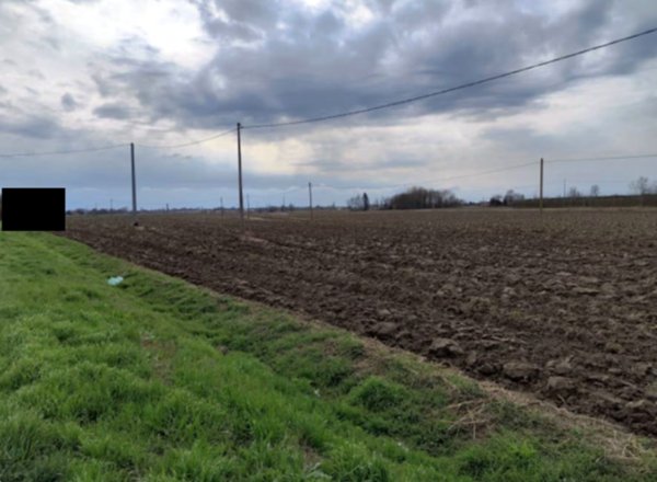terreno agricolo in vendita a Canaro