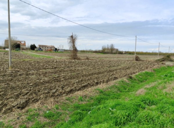terreno agricolo in vendita a Canaro