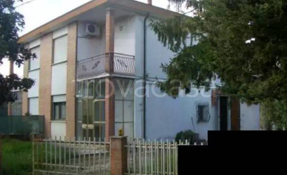 appartamento in vendita a Canaro