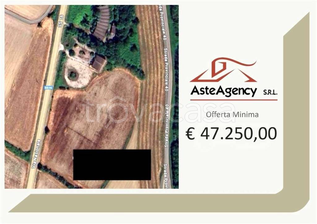 terreno agricolo in vendita a Canaro