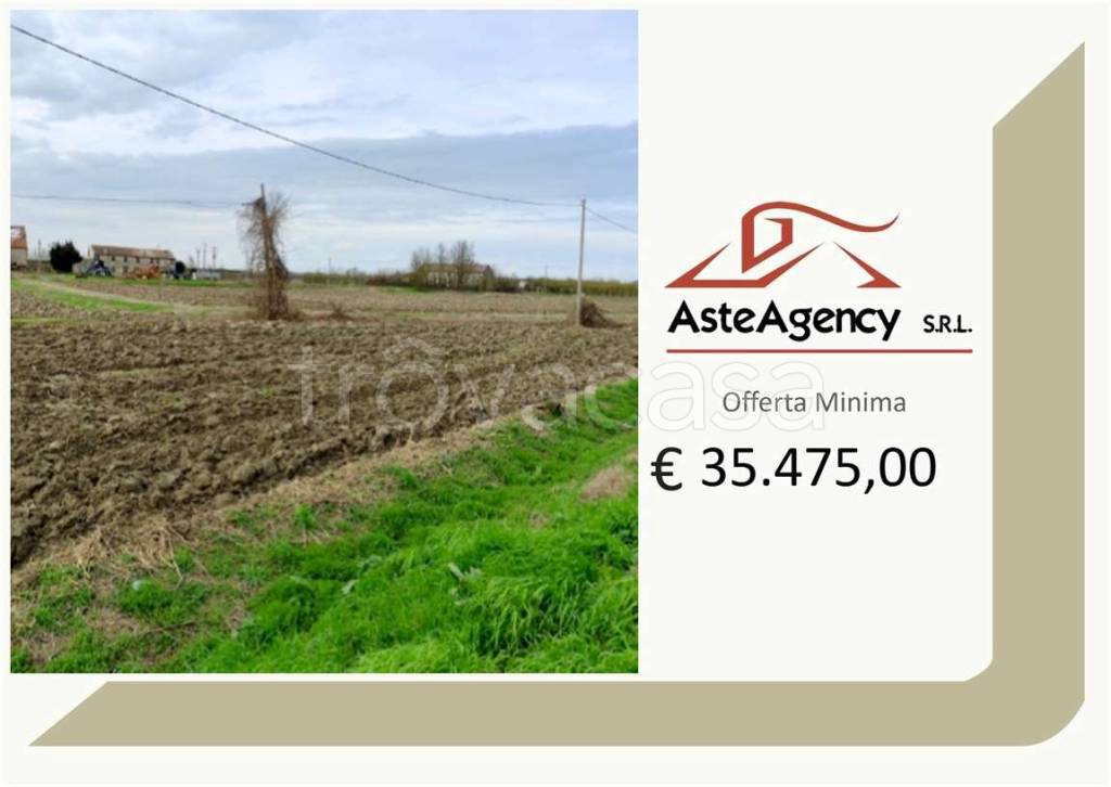 terreno agricolo in vendita a Canaro